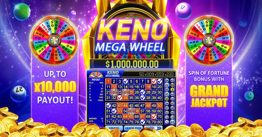 bet3333 betf cassino on-line