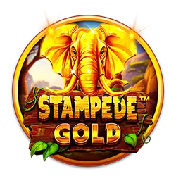 bet3333 slot demo pg cassino on-line